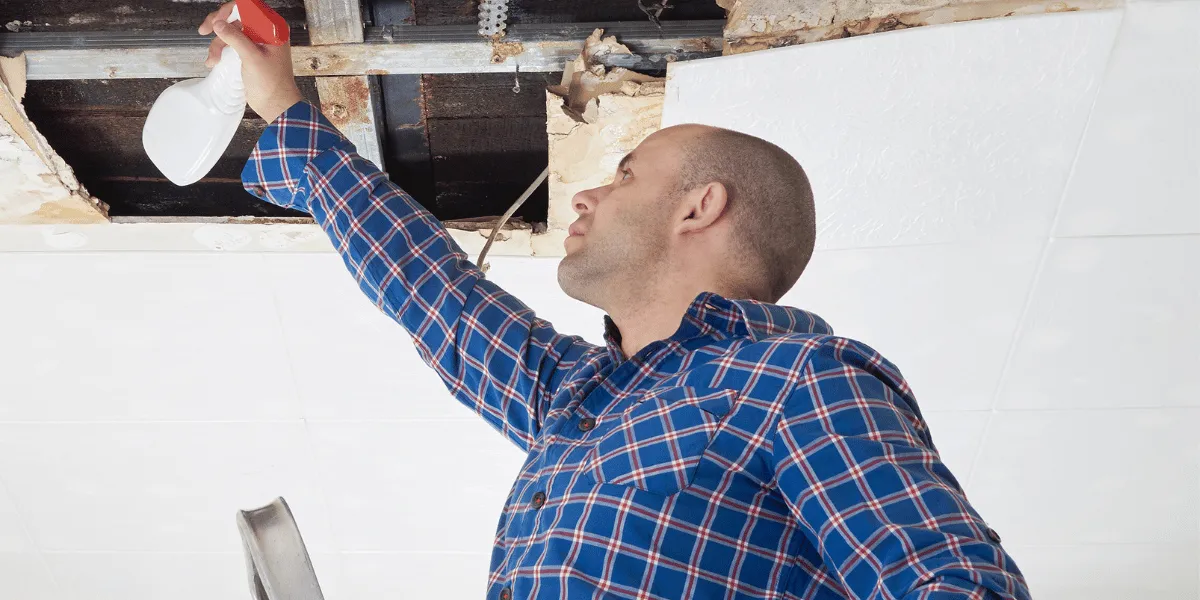 Certified mold inspection and structural restoration technician containment protocol