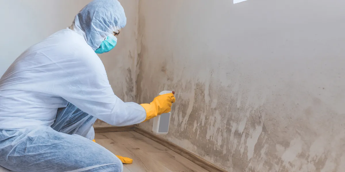 Home interior moisture inspection, indoor humidity management, and preventative risk evaluation